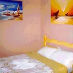 Arara Fortaleza (Ceara)